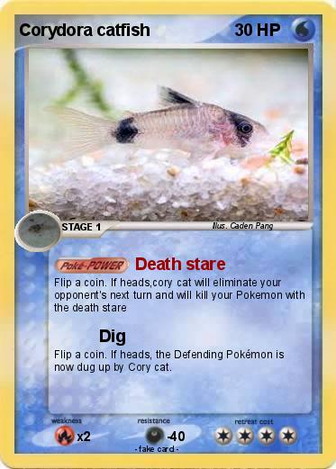 Pokemon Corydora catfish