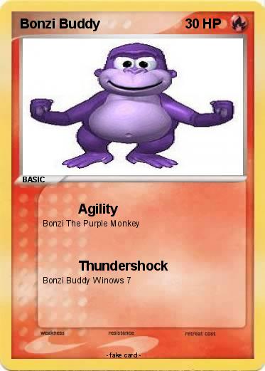 Pokemon Bonzi Buddy