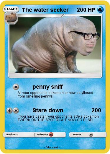 Pokemon The water seeker