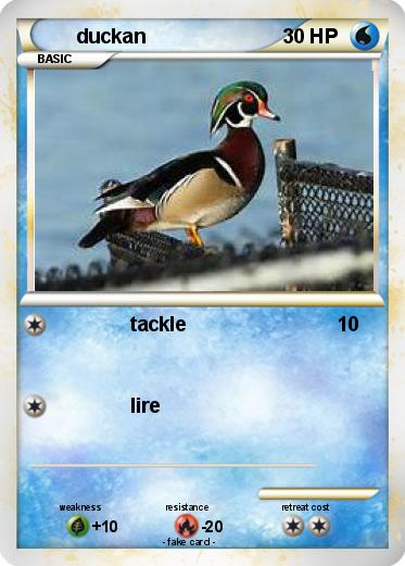 Pokemon duckan
