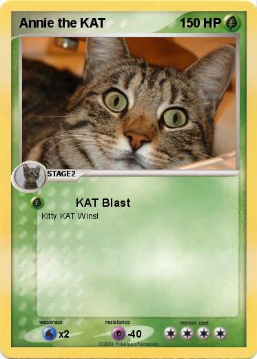 Pokemon Annie the KAT