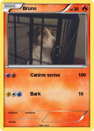 Pokemon Bruno