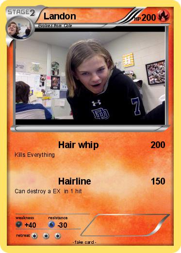 Pokemon Landon