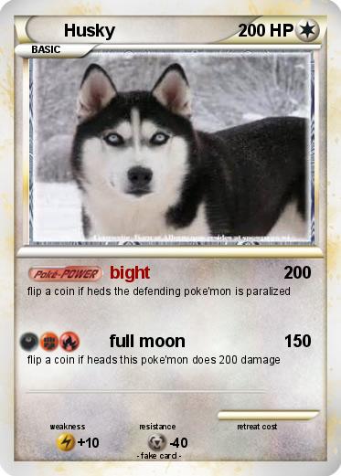 Pokemon Husky