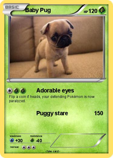 Pokemon Baby Pug