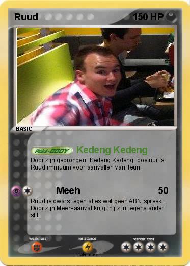 Pokemon Ruud