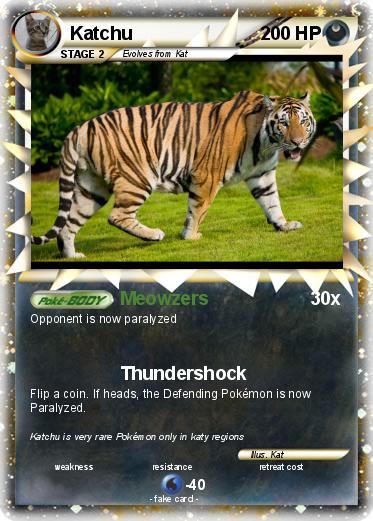 Pokemon Katchu