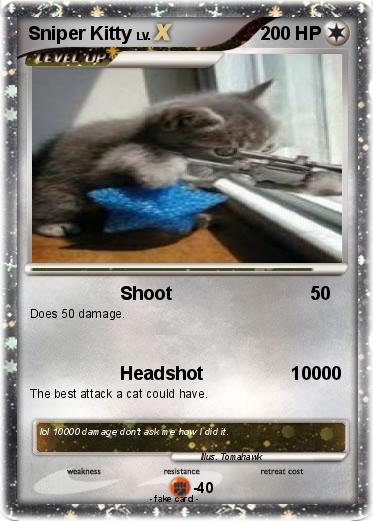 Pokemon Sniper Kitty