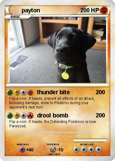 Pokemon payton