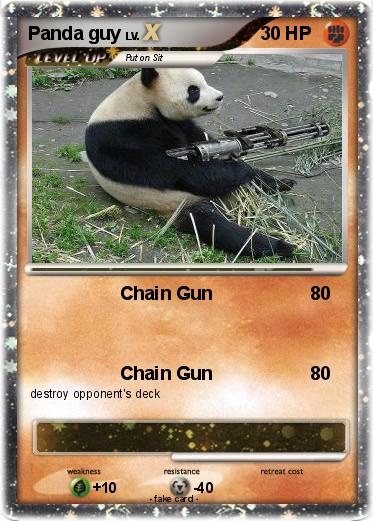 Pokemon Panda guy
