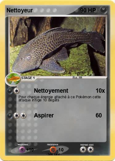 Pokemon Nettoyeur