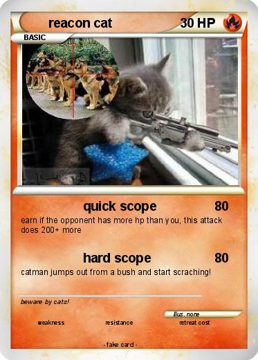 Pokemon reacon cat