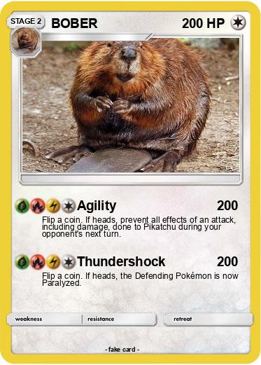 Pokemon BOBER