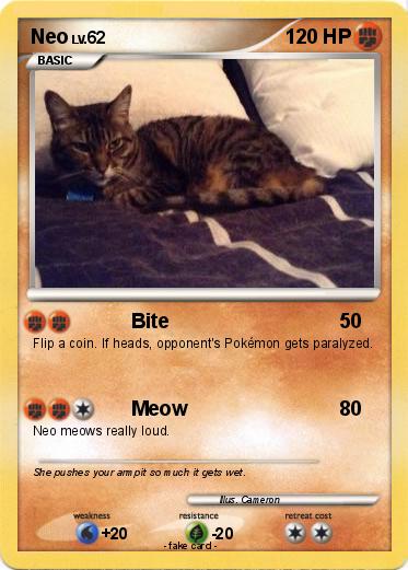 Pokemon Neo