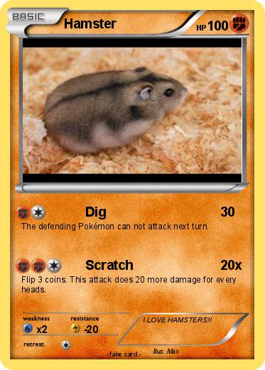 Pokemon Hamster