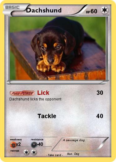 Pokemon Dachshund