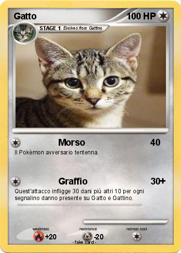 Pokemon Gatto