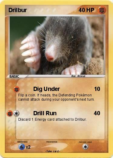 Pokemon Drilbur