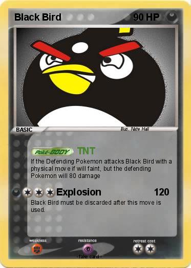 Pokemon Black Bird