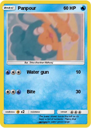 Pokemon Panpour