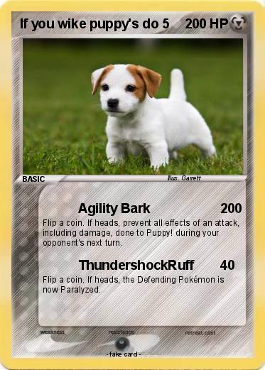 Pokemon If you wike puppy's do 5
