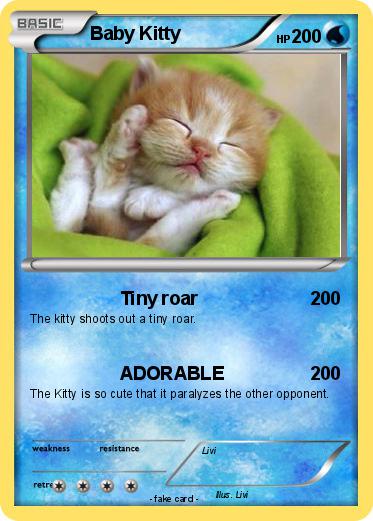 Pokemon Baby Kitty
