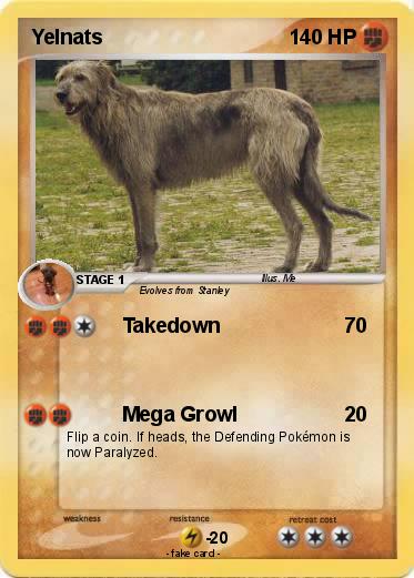 Pokemon Yelnats