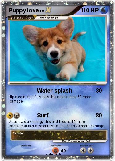 Pokemon Puppy love