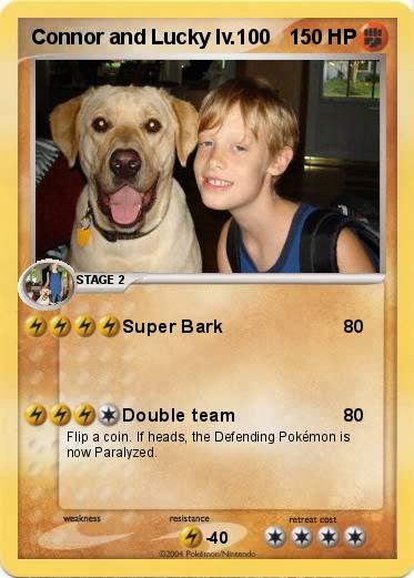 Pokemon Connor and Lucky lv.100