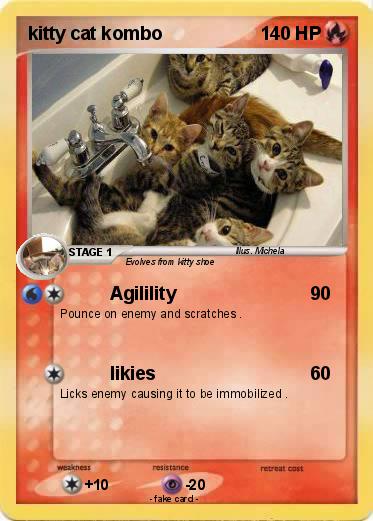 Pokemon kitty cat kombo