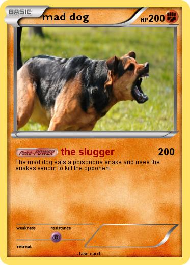 Pokemon mad dog
