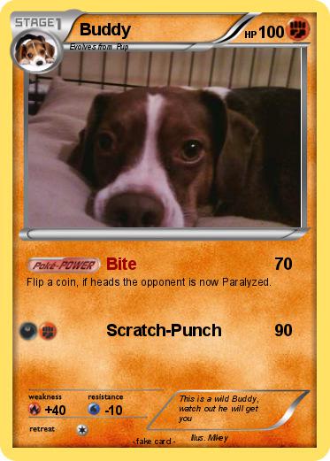 Pokemon Buddy