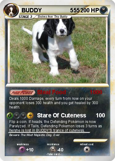 Pokemon BUDDY                  555