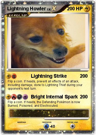 Pokemon Lightning Howler Pokemon Lightning Howler