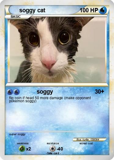 Pokemon soggy cat