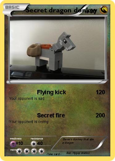 Pokemon Secret dragon donkey