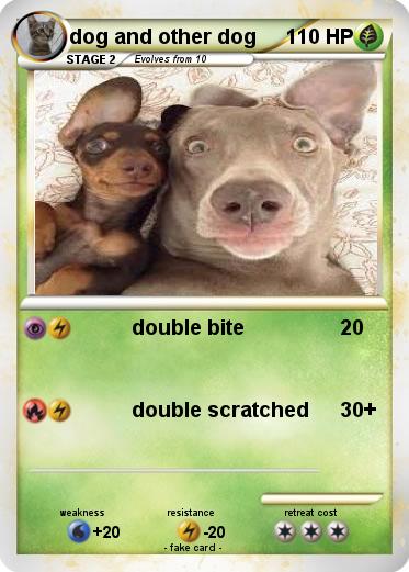 Pokemon dog and other dog