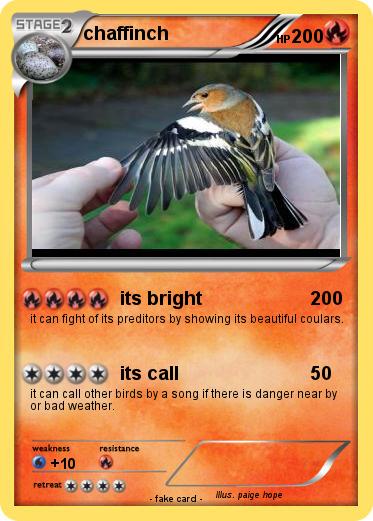 Pokemon chaffinch