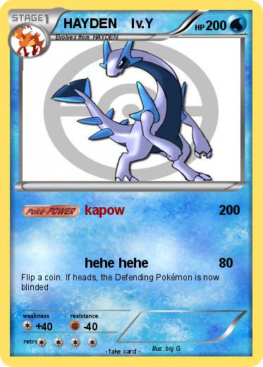 Pokemon HAYDEN    lv.Y