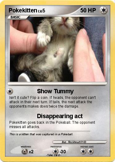 Pokemon Pokekitten