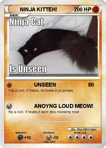 Pokemon NINJA KITTEH!