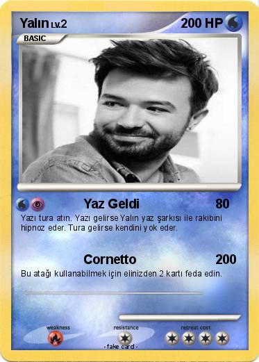Pokemon Yalın