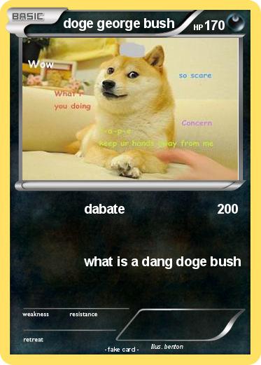 Pokemon doge george bush
