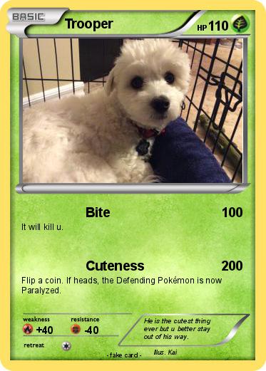 Pokemon Trooper