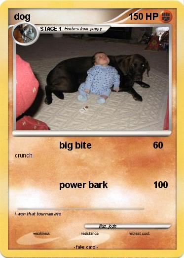 Pokemon dog
