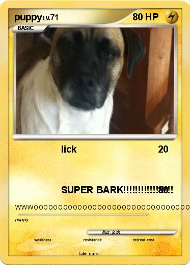 Pokemon puppy