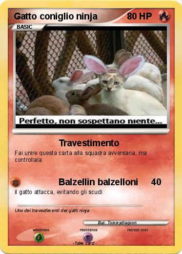 Pokemon Gatto coniglio ninja