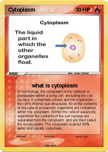 Pokemon Cytoplasm