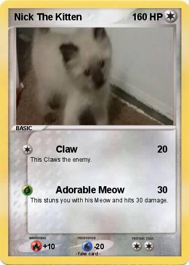 Pokemon Nick The Kitten