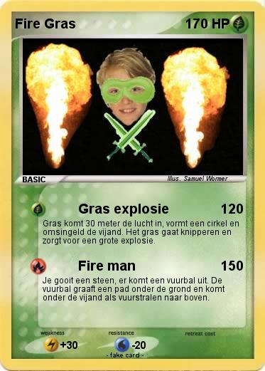 Pokemon Fire Gras